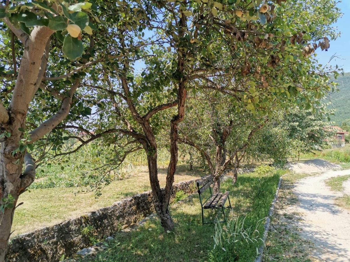 Una National Park Apartment Bihać Zewnętrze zdjęcie